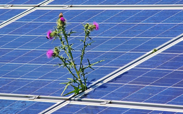 Mantenimiento de instalación fotovoltaica